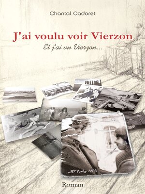 cover image of J'ai voulu voir Vierzon